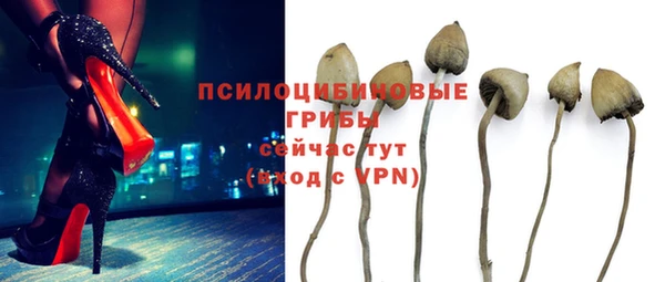 прущие крисы Белоозёрский