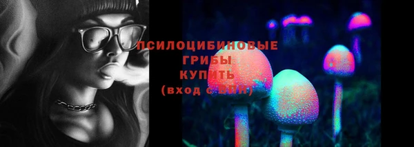 прущие крисы Белоозёрский